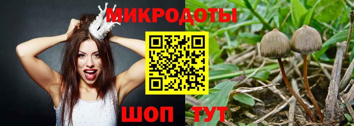 Вязники  Псилоцибиновые грибы мицелий  Вход с VPN 